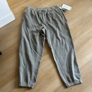 NEW lululemon steady state joggers XL